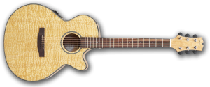 Mitchell MX400 Exotic Wood Guitar
