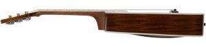 Mitchell DJ120 Profile