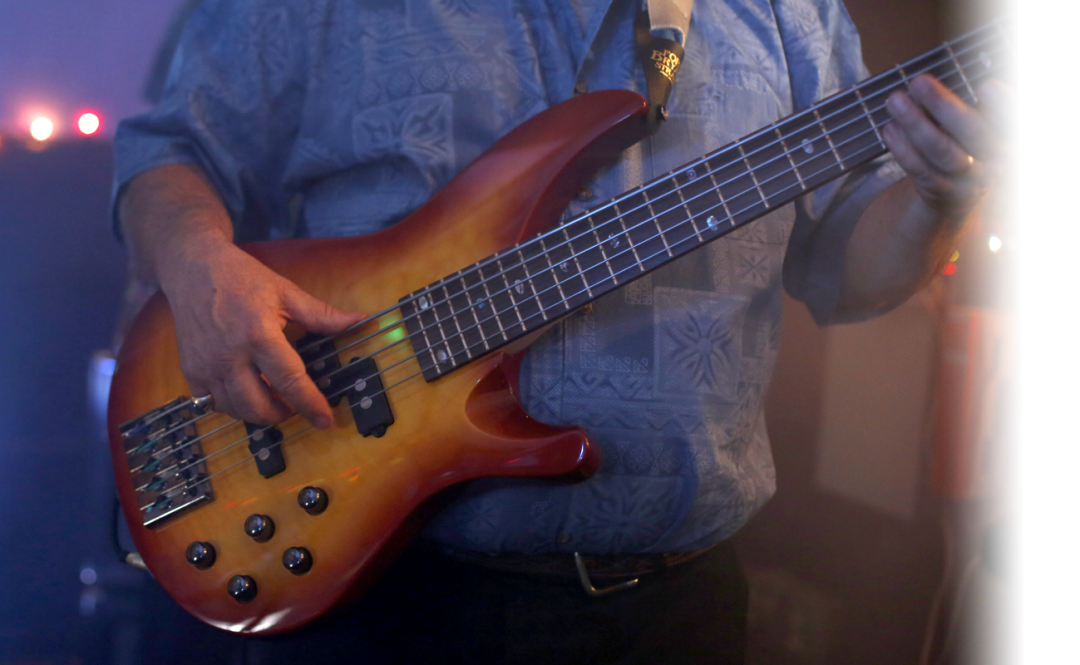 Bass Guitars Mitchell Bass Guitars Fusion, Traditional, Modern Basses