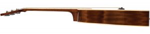 Mitchell O120SVS Profile