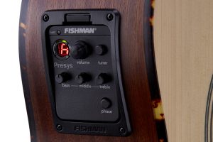 Mitchell T313CE Preamp
