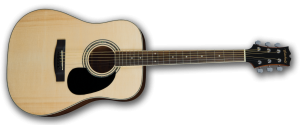 MD100S Solid Spruce Top Dreadnought Acoustic Guitar